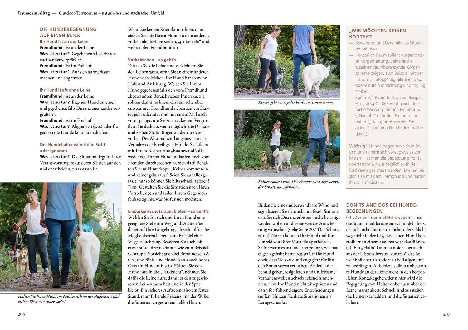 Bild: 9783440174616 | Raumdenken® in der Hundeerziehung | Ursula Löckenhoff | Buch | 224 S.