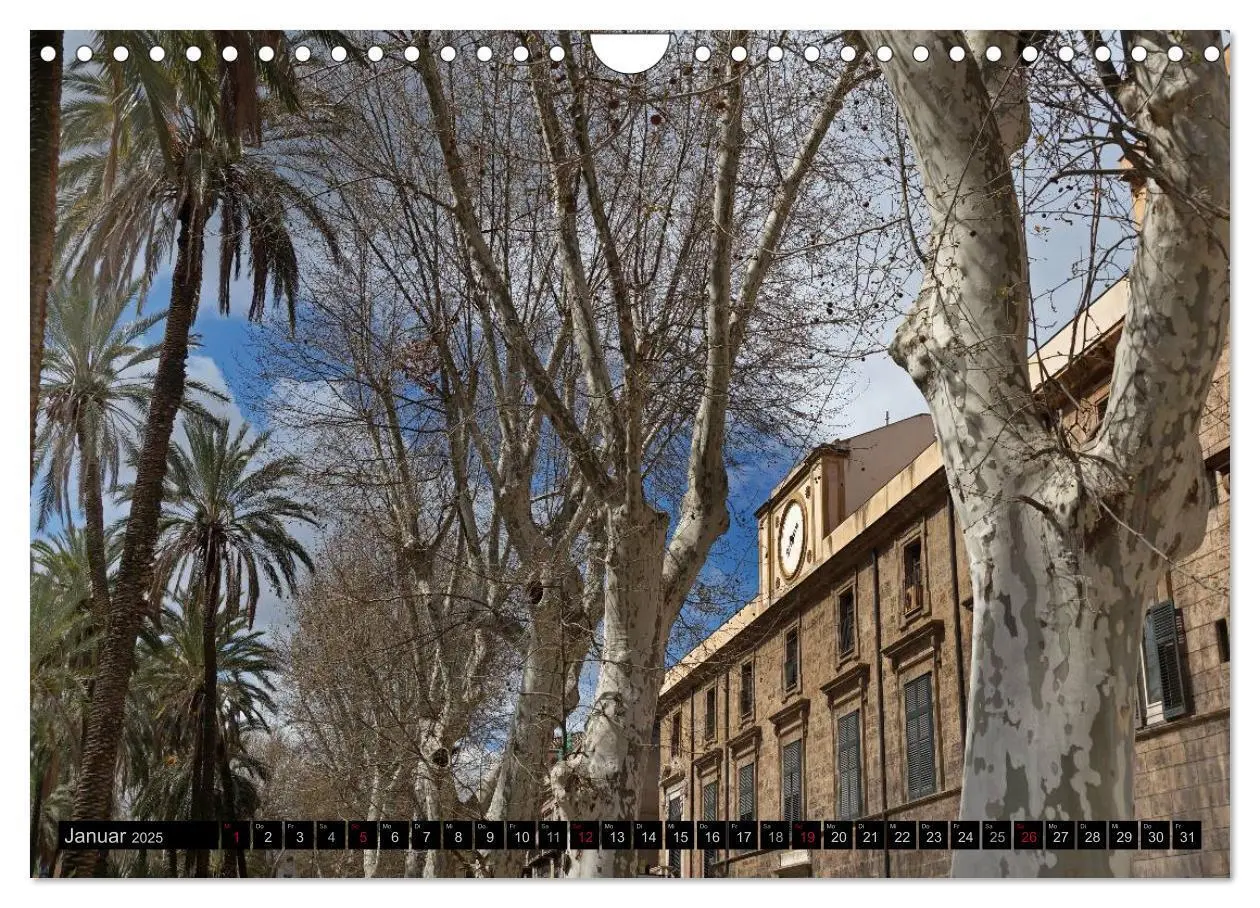 Bild: 9783435764716 | Palermo - Impressionen (Wandkalender 2025 DIN A4 quer), CALVENDO...