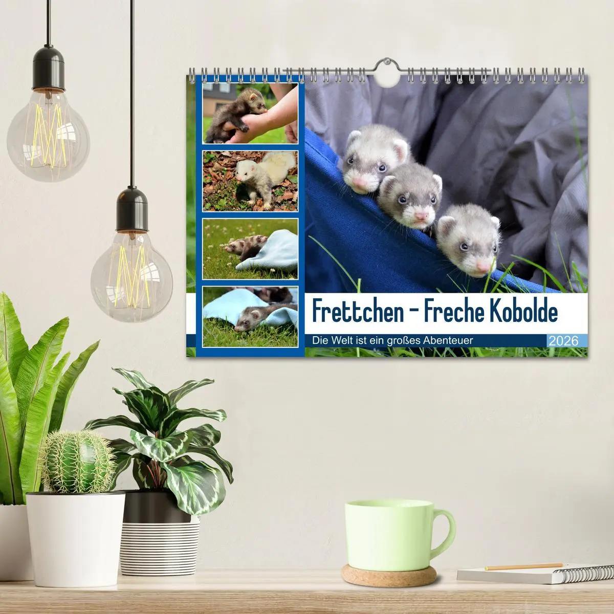 Bild: 9783516634716 | Frettchen - Freche Kobolde (Wandkalender 2026 DIN A4 quer),...