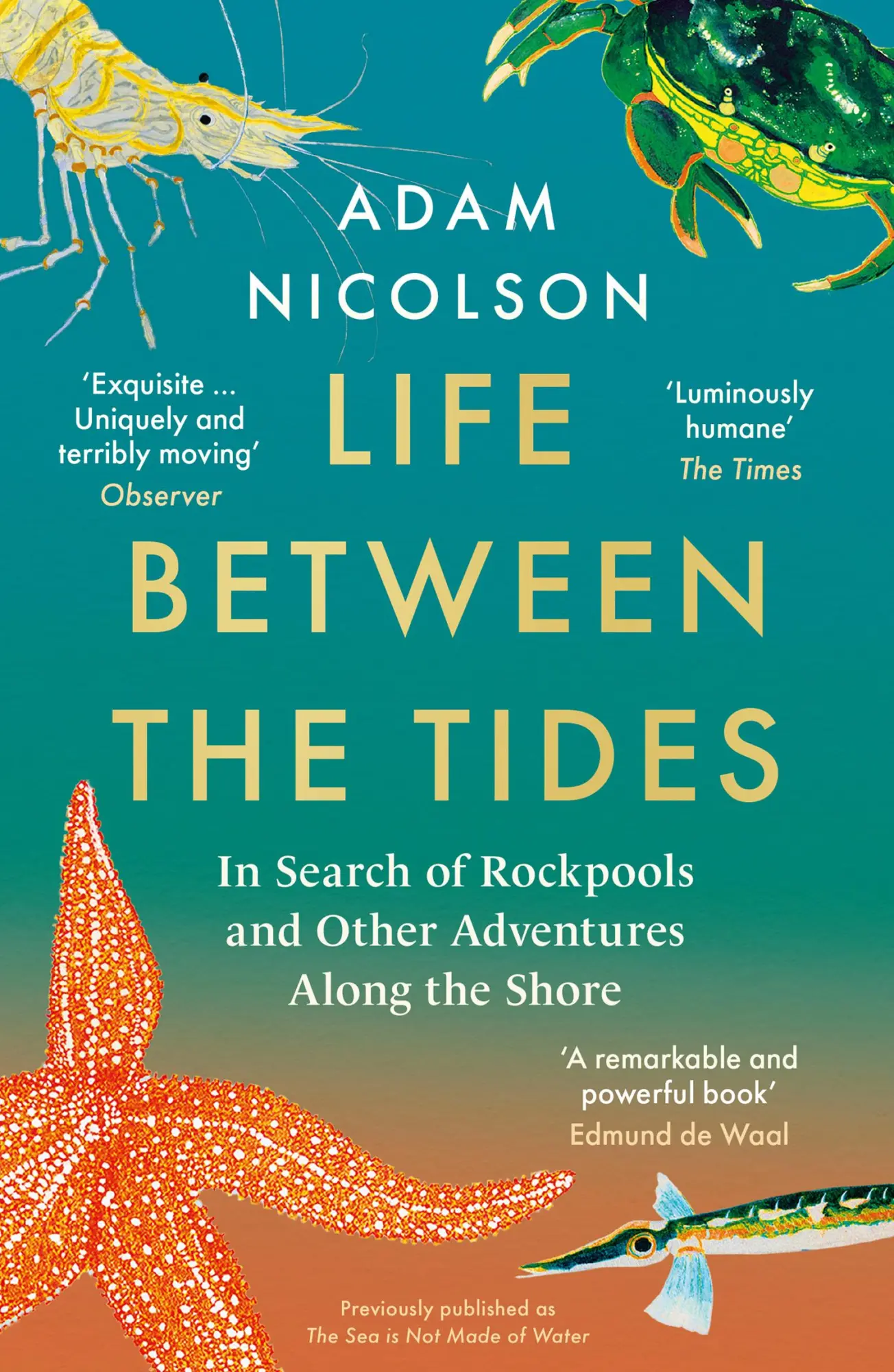 Cover: 9780008294816 | Life Between the Tides | Adam Nicolson | Taschenbuch | 368 S. | 2022 Cover: 9780008294816 | Life Between the Tides | Adam Nicolson | Taschenbuch | 368 S. | 2022