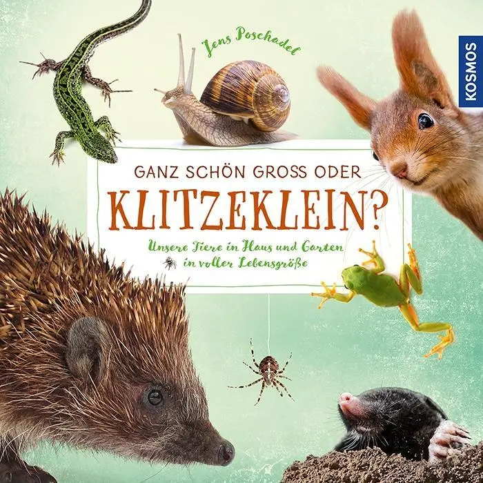 Cover: 9783440154816 | Ganz schön groß oder klitzeklein? | Jens Poschadel | Buch | 38 S.