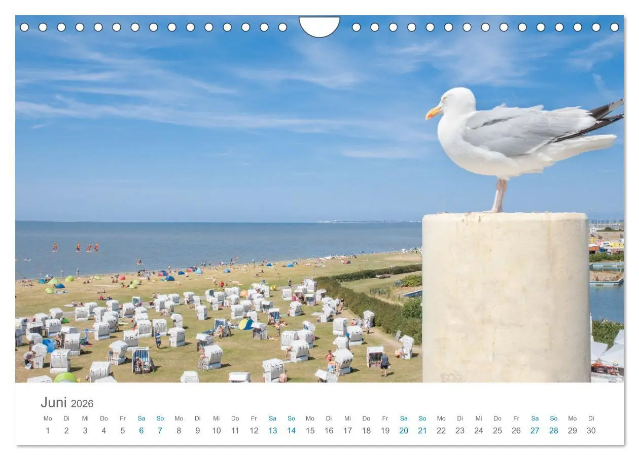 Bild: 9783457914816 | Moin Norden-Norddeich (Wandkalender 2026 DIN A4 quer), CALVENDO...