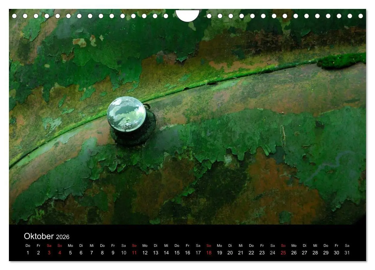 Bild: 9783516174816 | ROSTLAUBEN Die schönsten Autowracks (Wandkalender 2026 DIN A4...