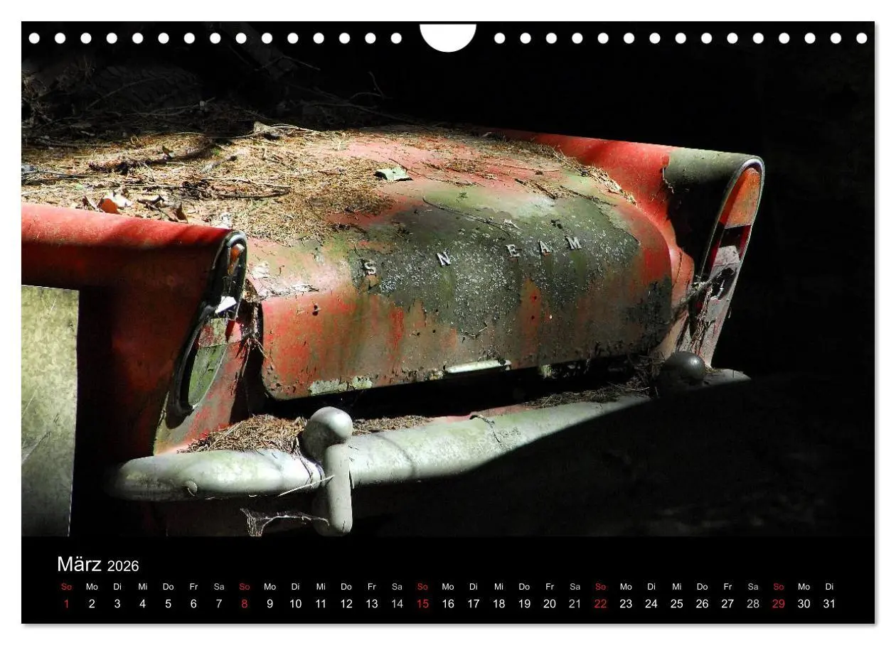 Bild: 9783516174816 | ROSTLAUBEN Die schönsten Autowracks (Wandkalender 2026 DIN A4...