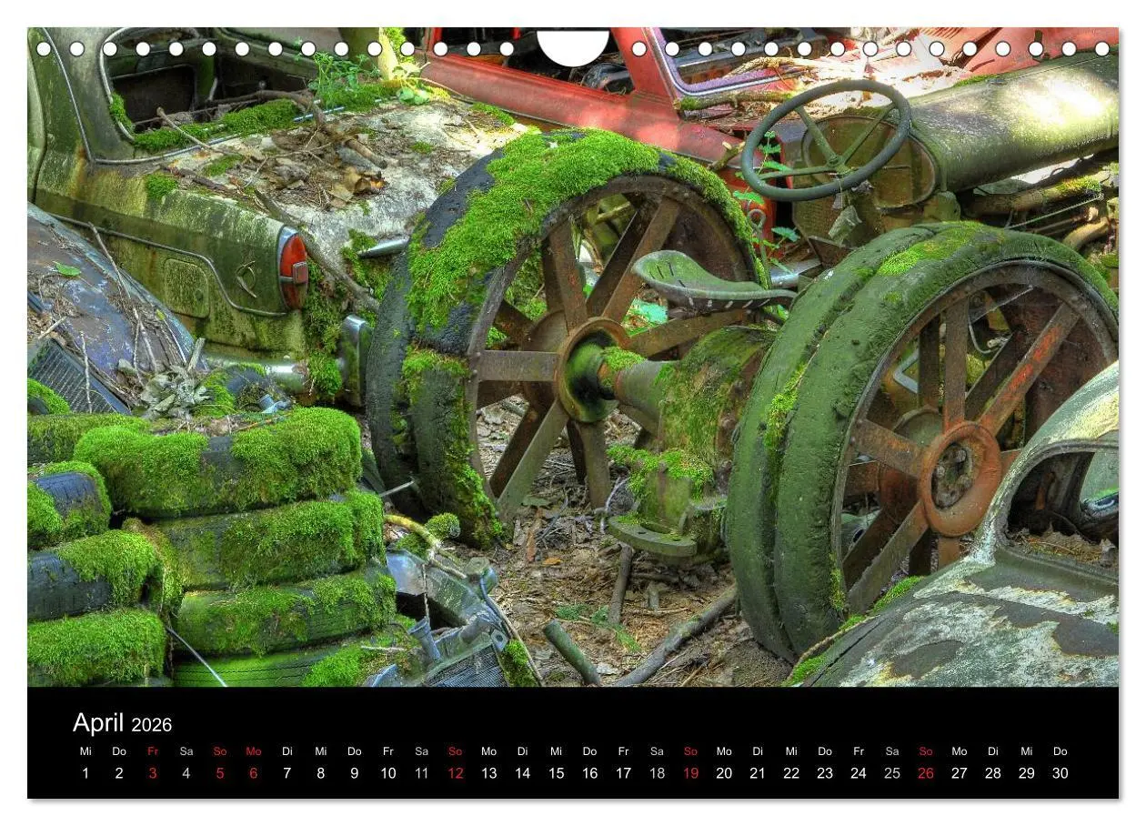 Bild: 9783516174816 | ROSTLAUBEN Die schönsten Autowracks (Wandkalender 2026 DIN A4...