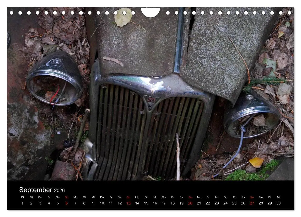 Bild: 9783516174816 | ROSTLAUBEN Die schönsten Autowracks (Wandkalender 2026 DIN A4...