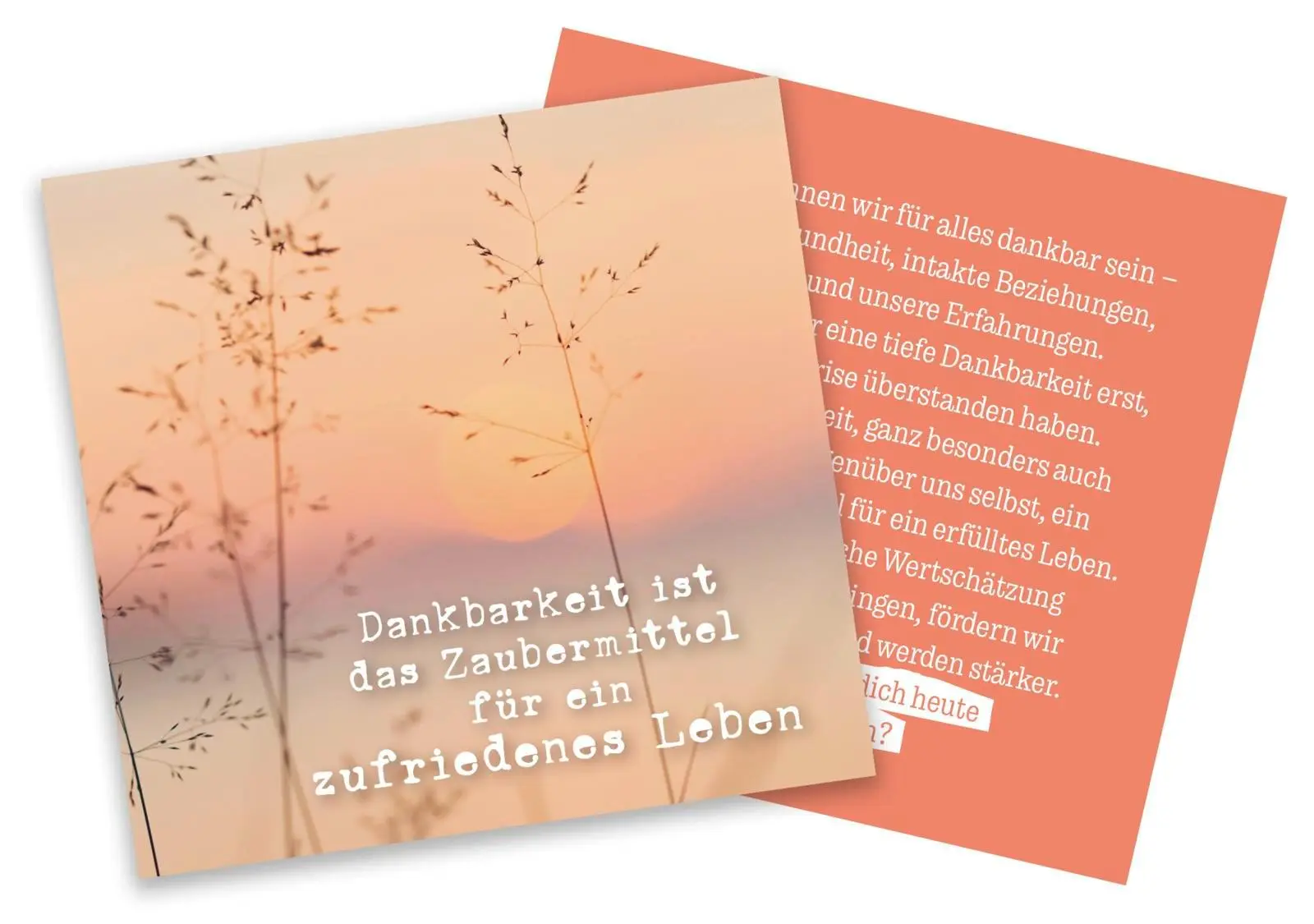 Bild: 4260308344916 | Sei nicht nur gut zu anderen. Sei gut zu dir | Pattloch Verlag | Box