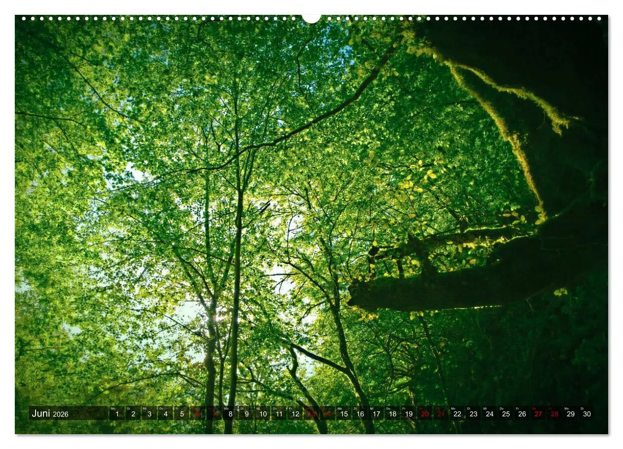Bild: 9783457764916 | Slowenien - Soca Tal (hochwertiger Premium Wandkalender 2026 DIN A2...