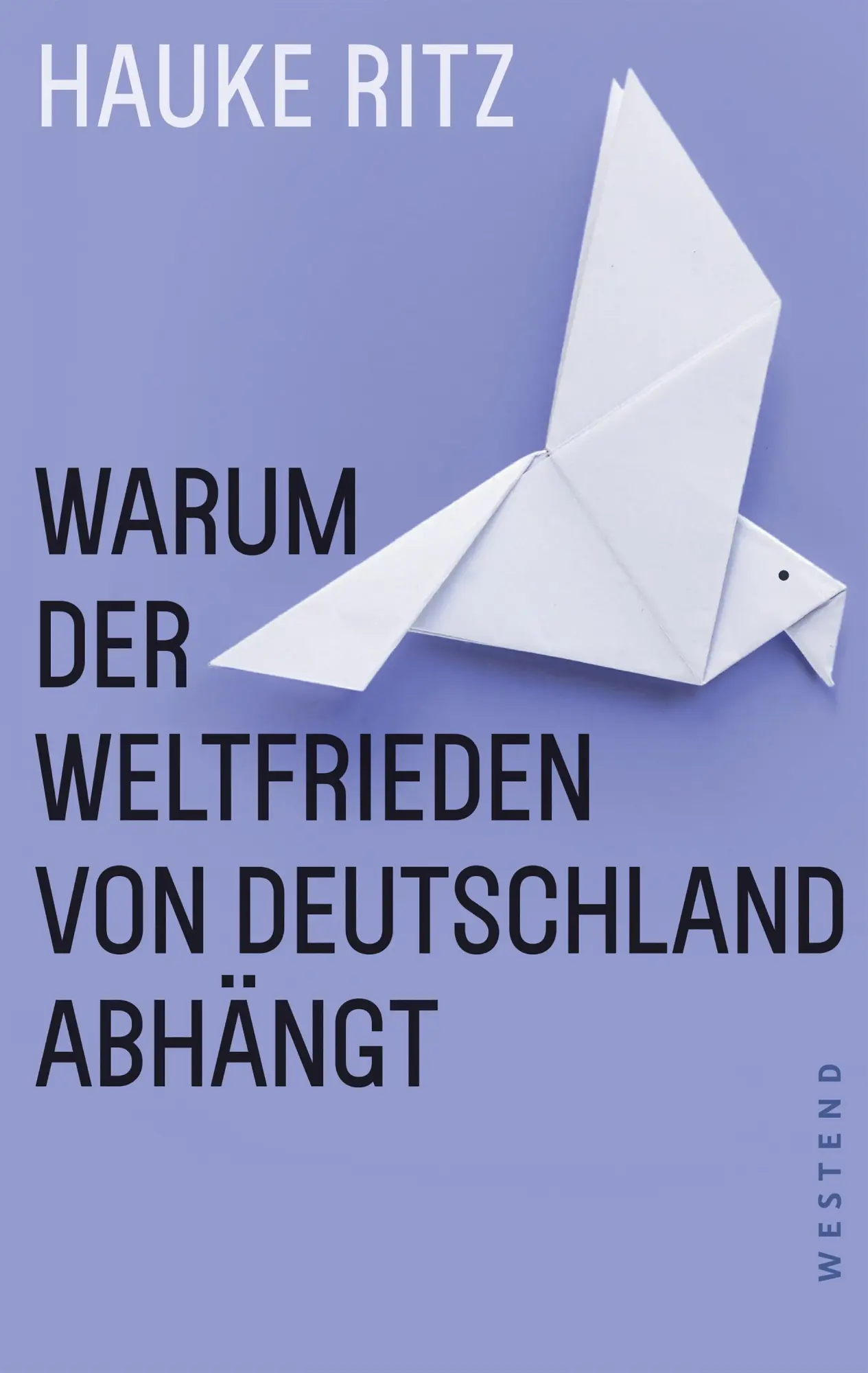 Cover: 9783864894916 | Warum der Weltfrieden von Deutschland abhängt | Hauke Ritz | Buch