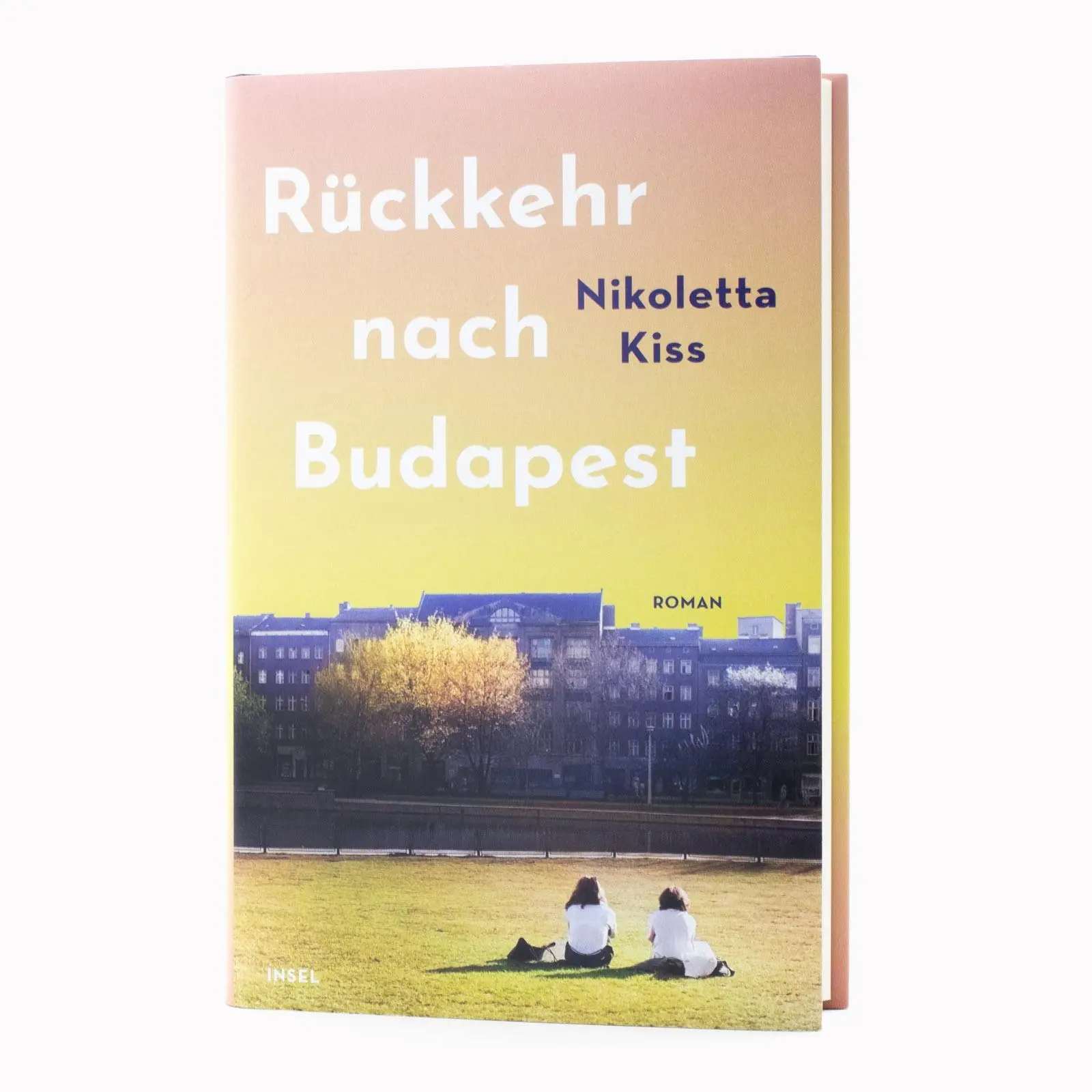 Bild: 9783458645016 | Rückkehr nach Budapest | Nikoletta Kiss | Buch | 300 S. | Deutsch