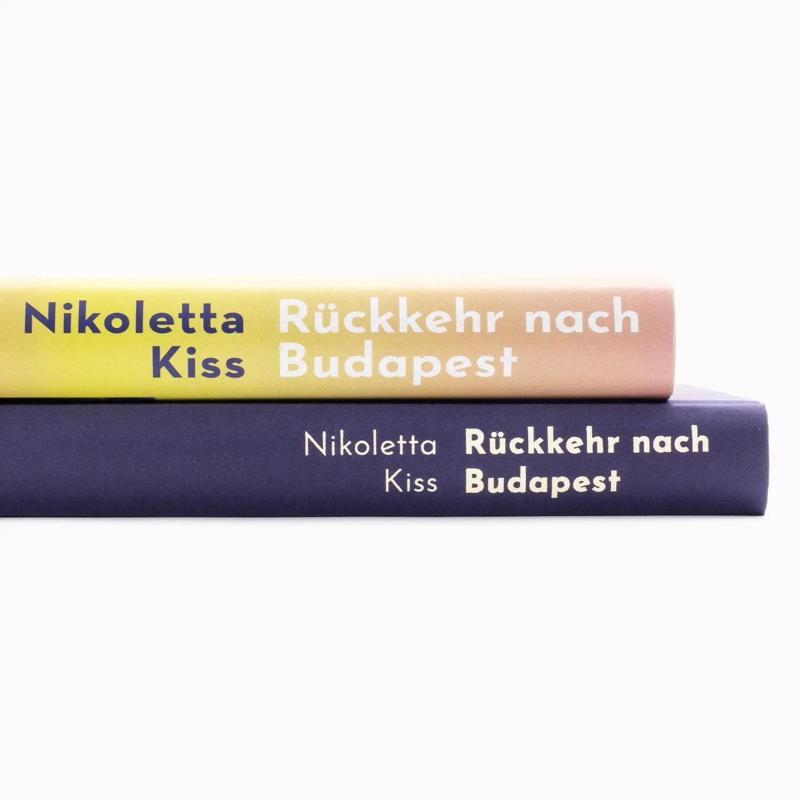 Bild: 9783458645016 | Rückkehr nach Budapest | Nikoletta Kiss | Buch | 300 S. | Deutsch