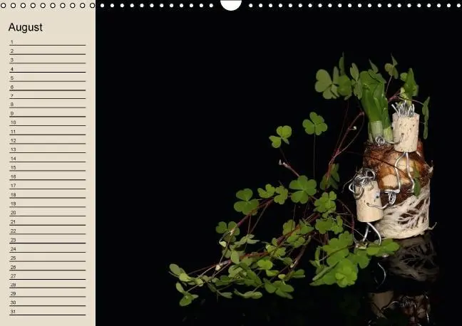 Bild: 9783660505016 | Bjork van Kork / Geburtstagskalender (Wandkalender immerwährend DIN...