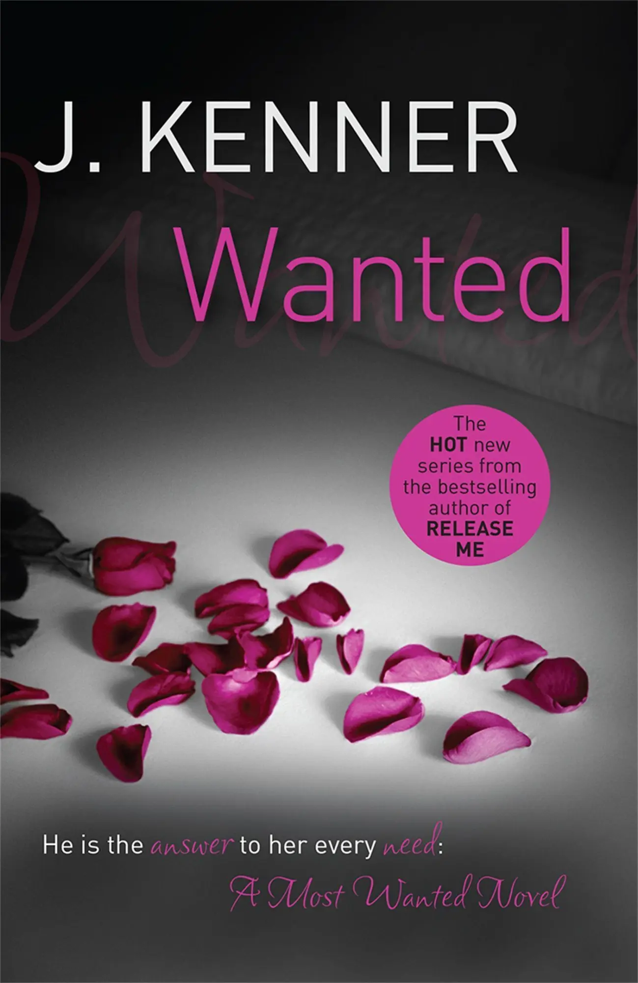 Cover: 9781472215116 | Wanted: Most Wanted Book 1 | J. Kenner | Taschenbuch | Englisch | 2014