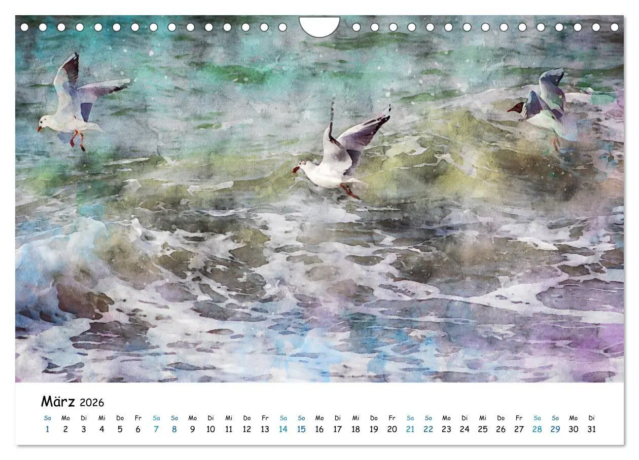 Bild: 9783457715116 | Aquarell Illustrationen vom Darß (Wandkalender 2026 DIN A4 quer),...