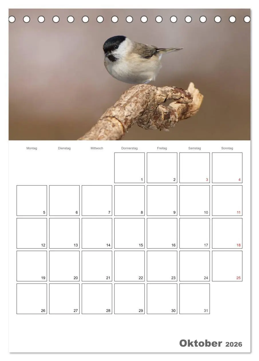 Bild: 9783516425116 | Vögel im heimischen Garten (Tischkalender 2026 DIN A5 hoch),...