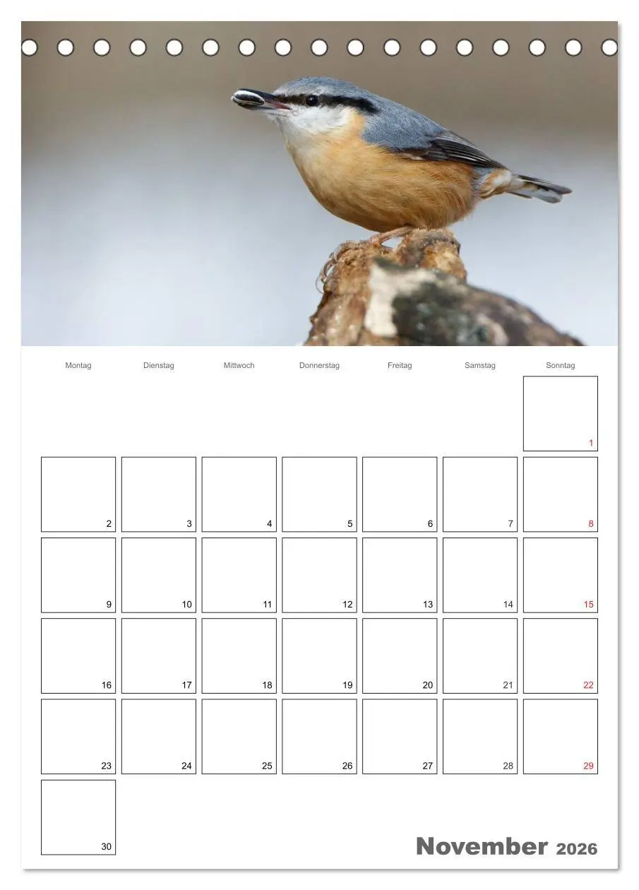 Bild: 9783516425116 | Vögel im heimischen Garten (Tischkalender 2026 DIN A5 hoch),...
