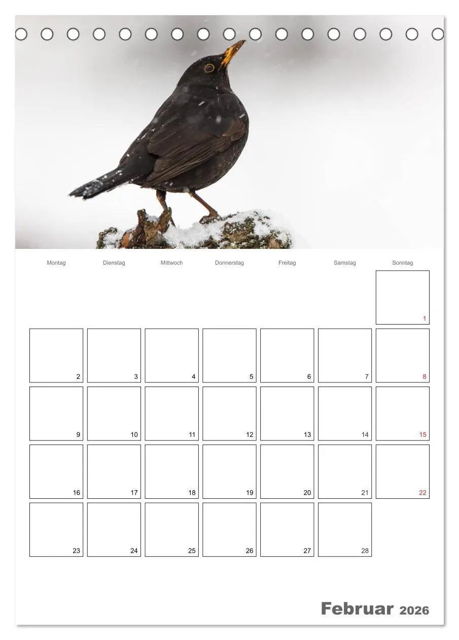 Bild: 9783516425116 | Vögel im heimischen Garten (Tischkalender 2026 DIN A5 hoch),...