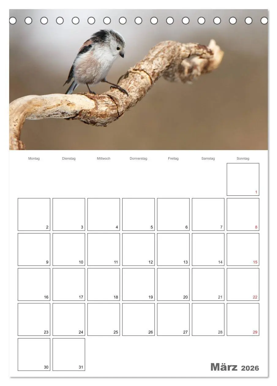 Bild: 9783516425116 | Vögel im heimischen Garten (Tischkalender 2026 DIN A5 hoch),...