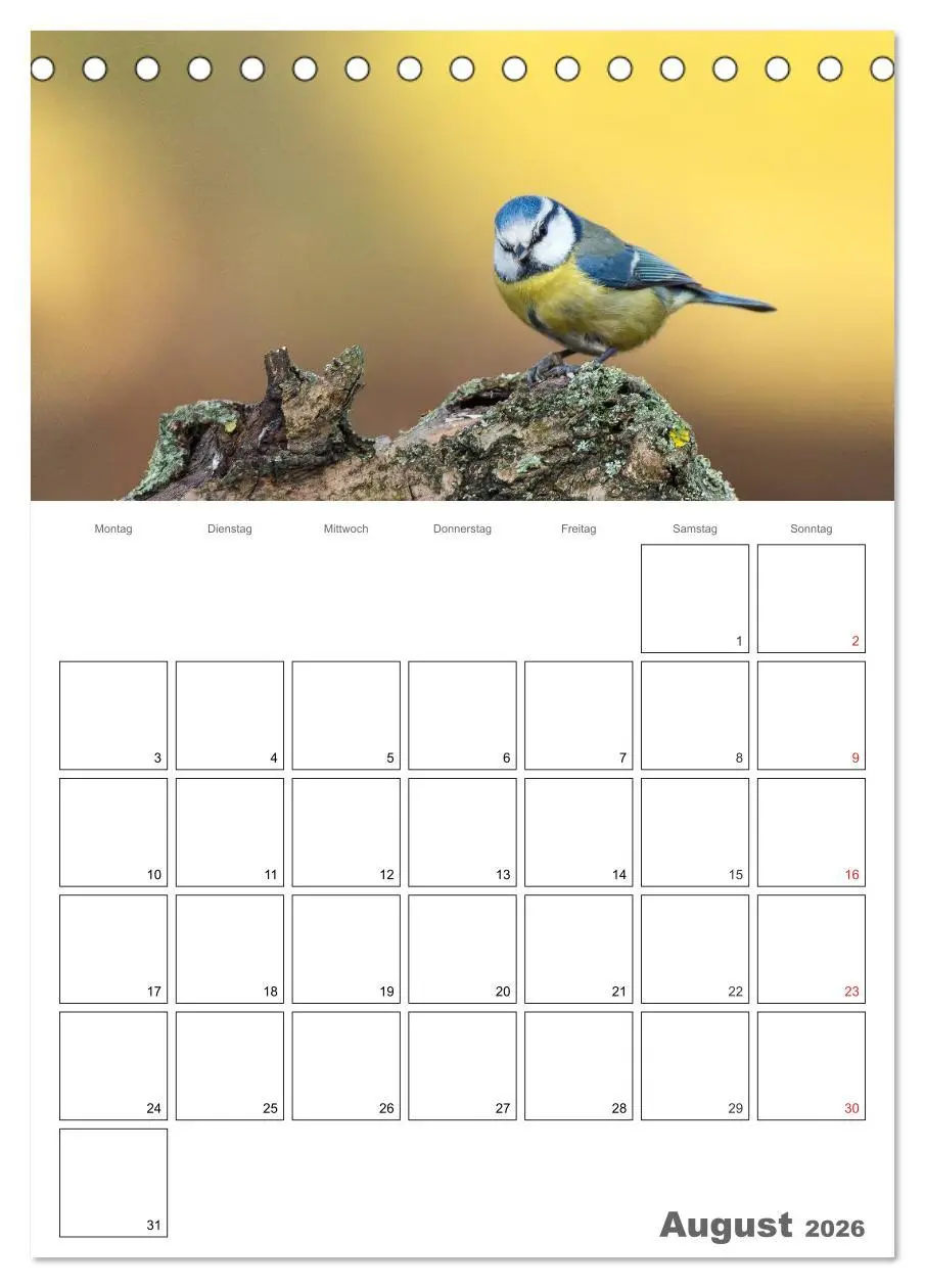 Bild: 9783516425116 | Vögel im heimischen Garten (Tischkalender 2026 DIN A5 hoch),...