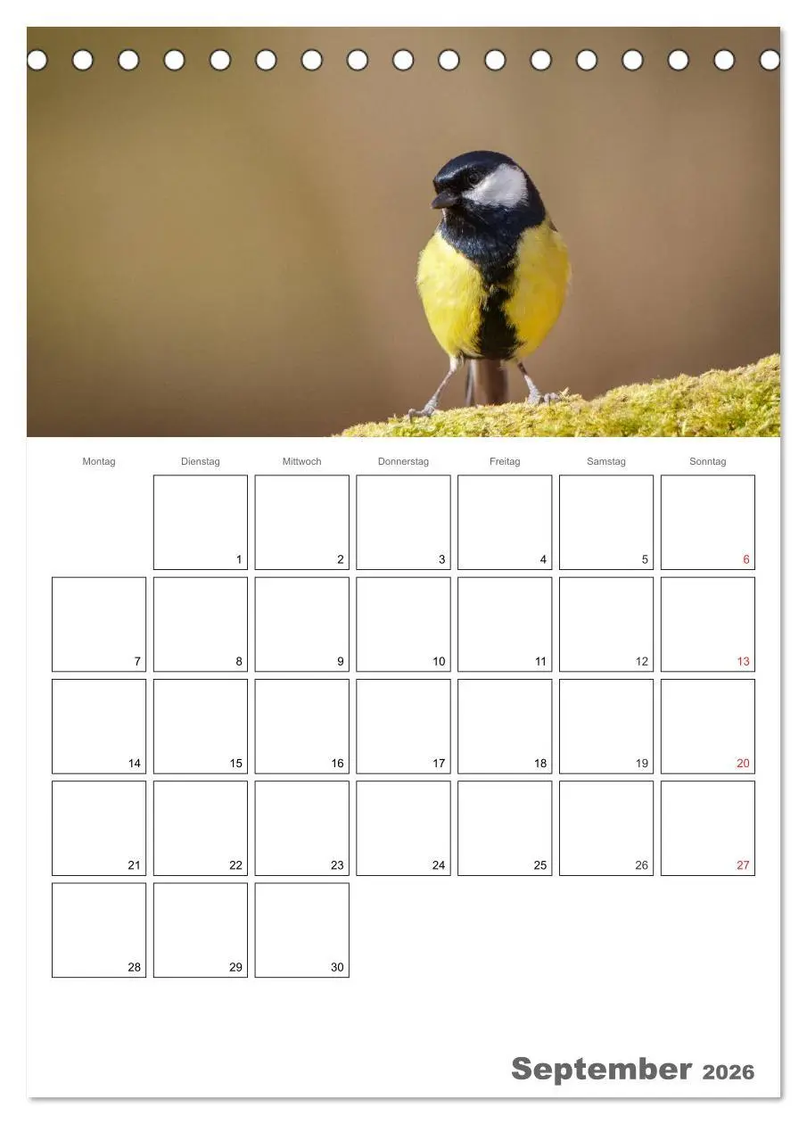 Bild: 9783516425116 | Vögel im heimischen Garten (Tischkalender 2026 DIN A5 hoch),...