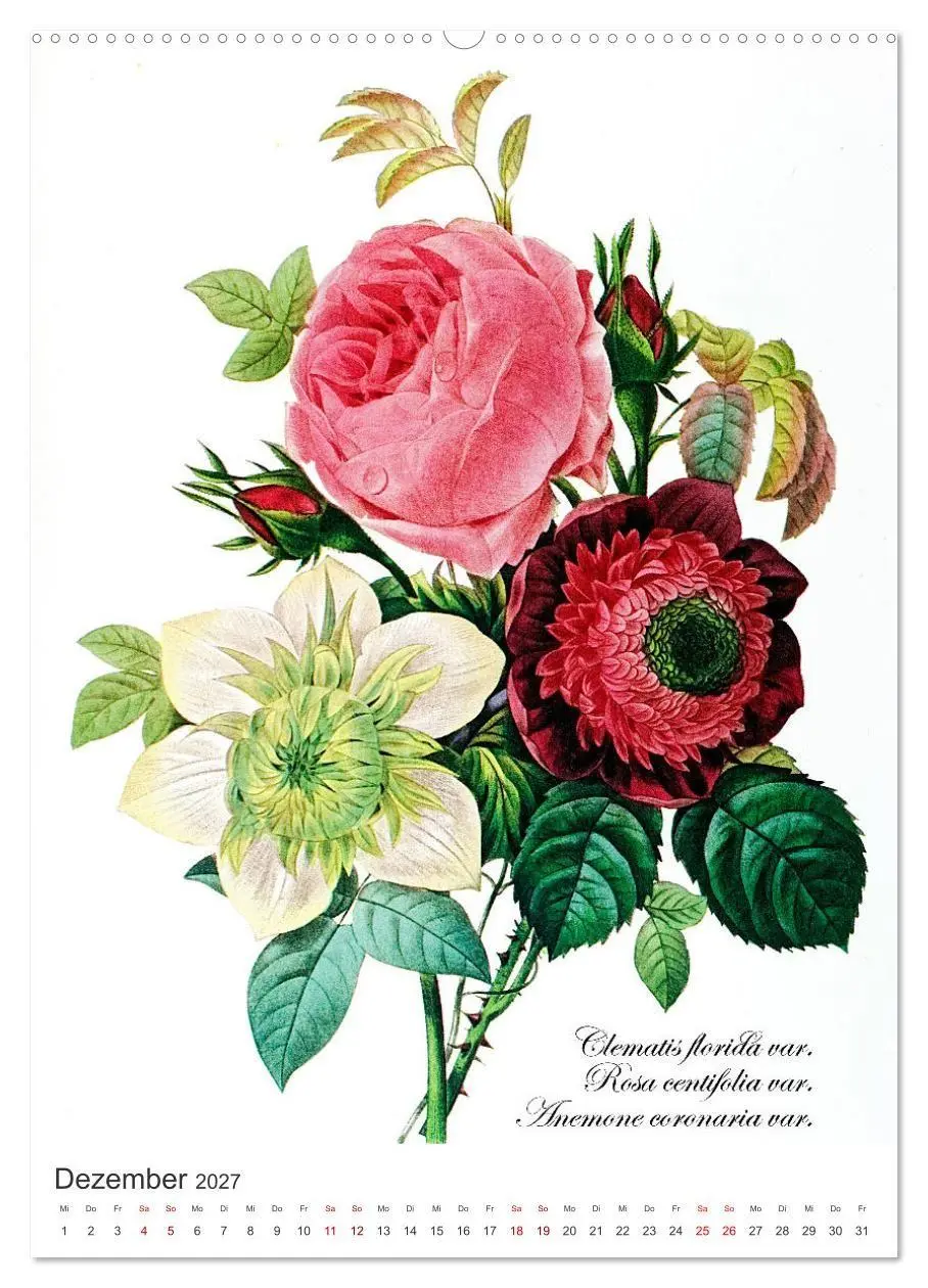 Bild: 9783569445116 | Rosen-Jahr (Wandkalender 2027 DIN A2 hoch), CALVENDO Monatskalender