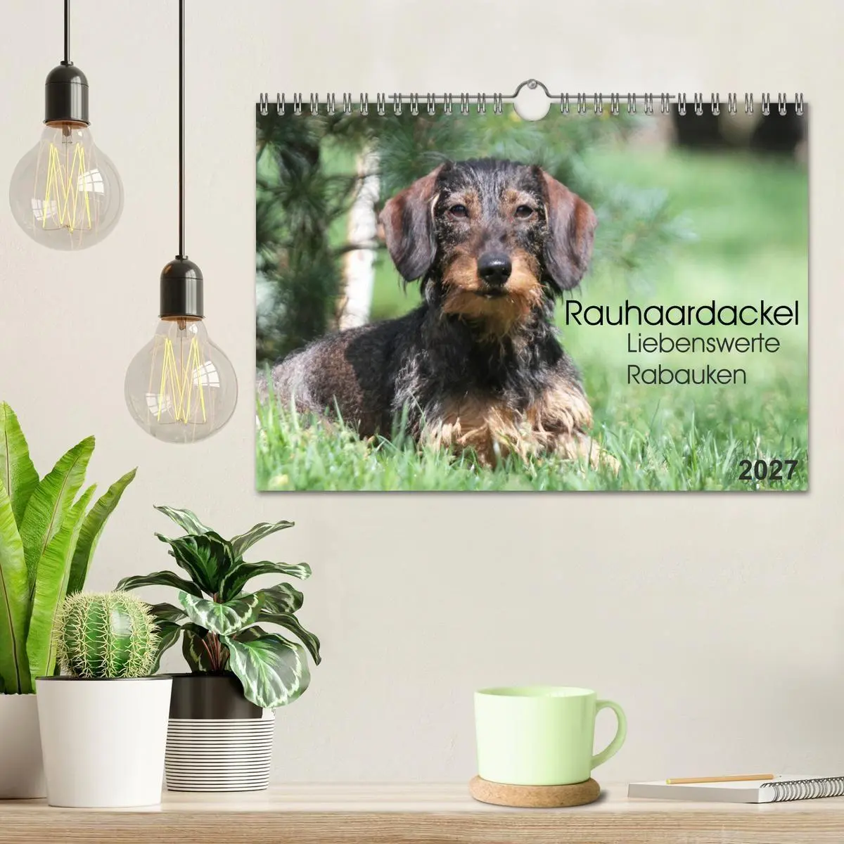 Bild: 9783594195116 | Liebenswerte Rabauken - Rauhaardackel (Wandkalender 2027 DIN A4...