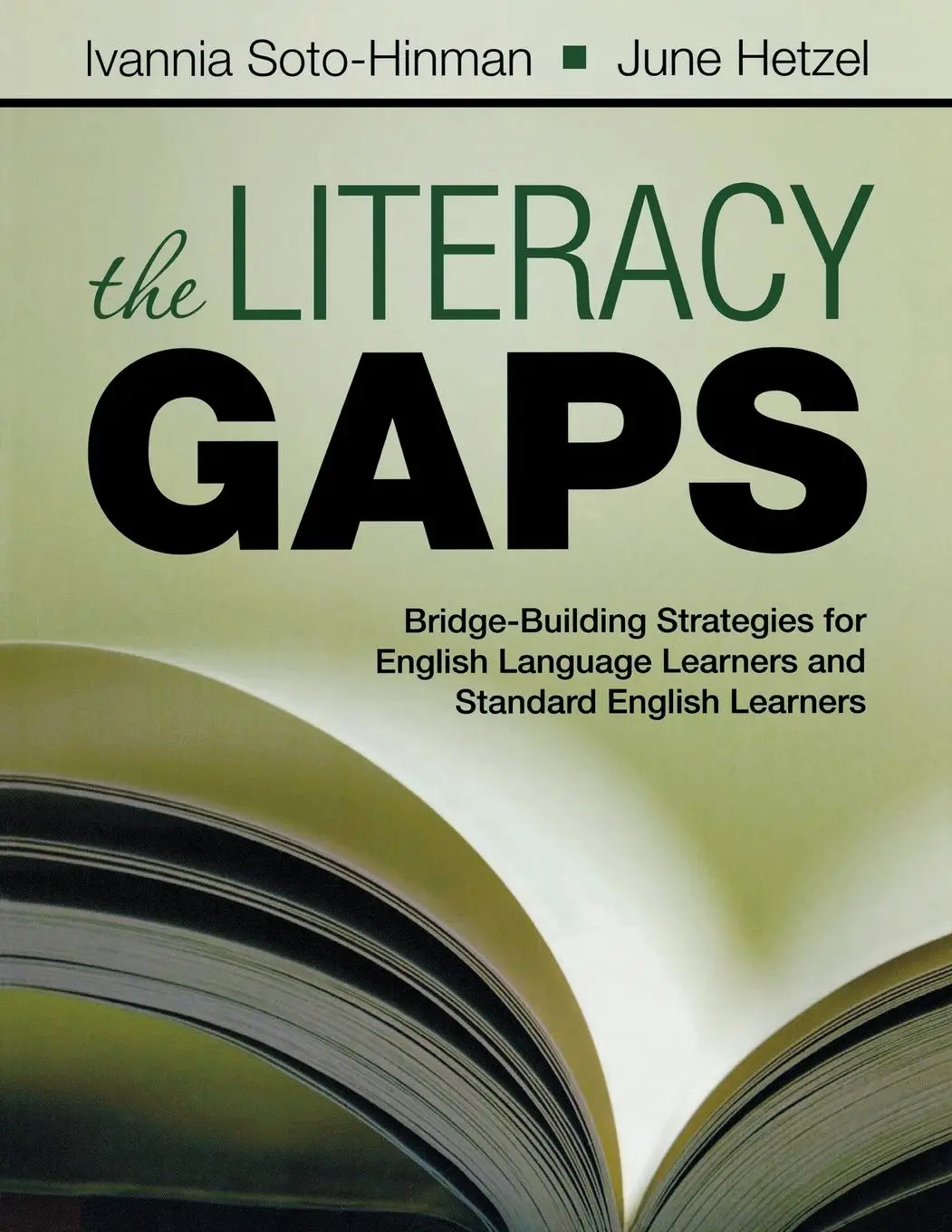 Cover: 9781412975216 | The Literacy Gaps | Ivannia Soto-Hinman (u. a.) | Taschenbuch | 2009