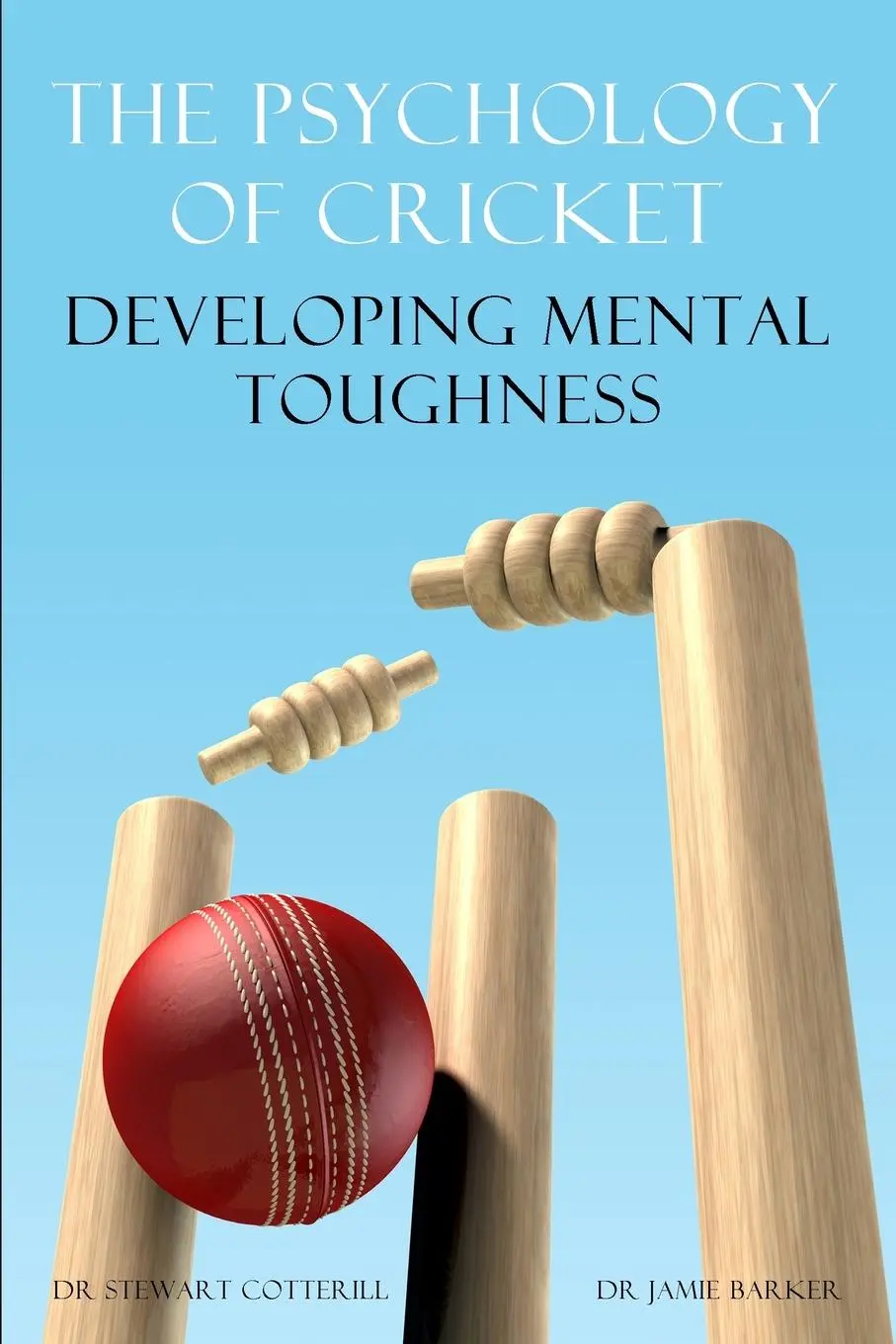 Cover: 9781909125216 | The Psychology of Cricket | Stewart Cotterill (u. a.) | Taschenbuch