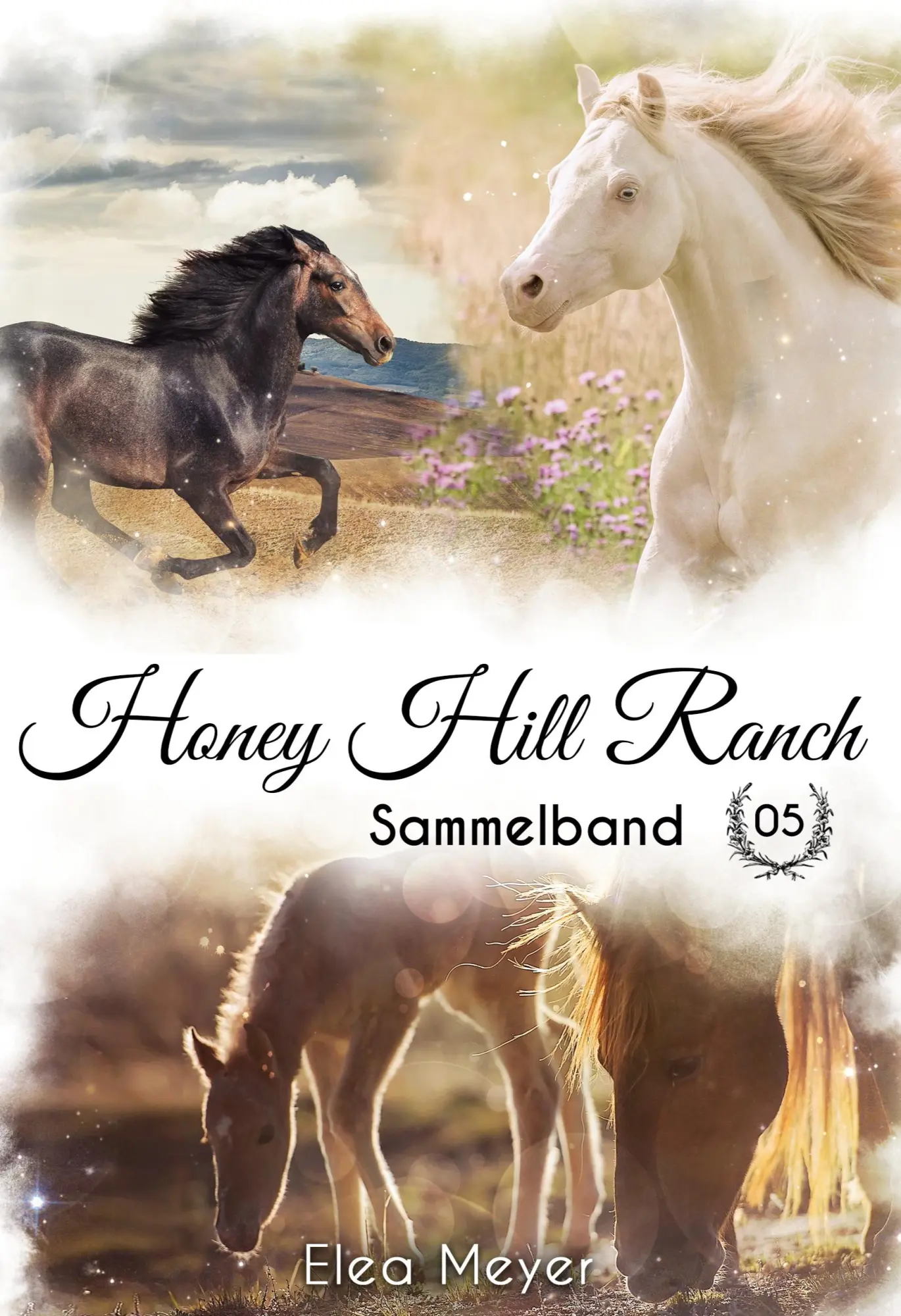 Cover: 9783756855216 | Honey Hill Ranch | Sammelband 5 | Elea Meyer | Buch | 308 S. | Deutsch