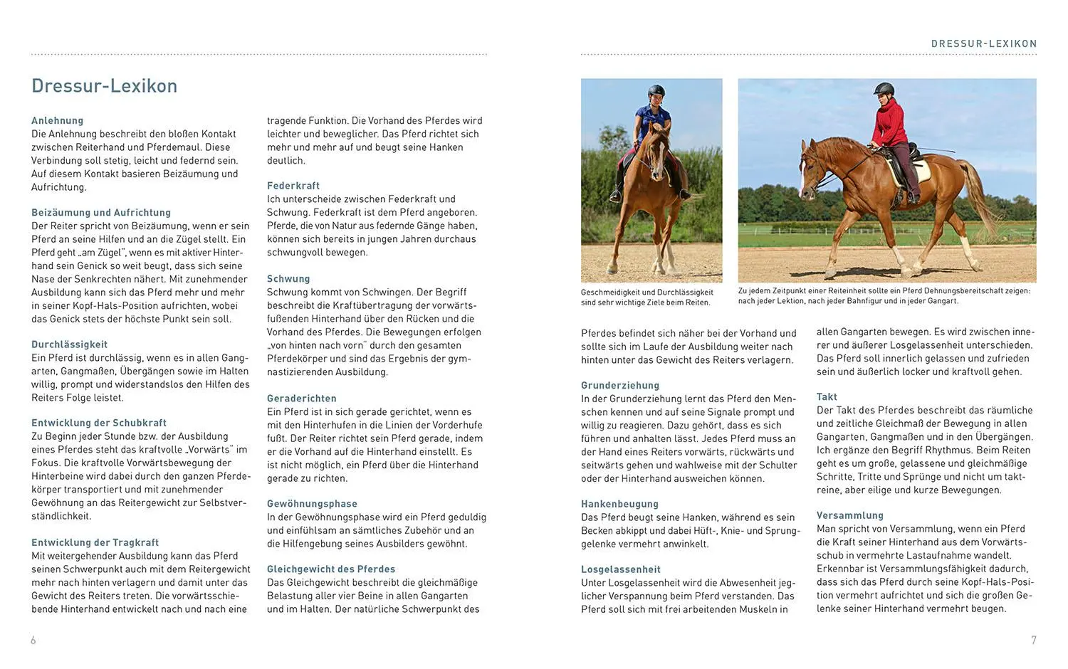 Bild: 9783440175316 | Lektionen für die Reitstunde | Mit praktischen Trainingsplänen | Buch
