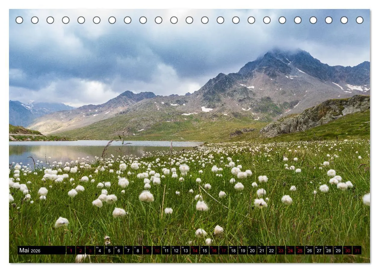 Bild: 9783457555316 | Vinschgau &amp; Ortleralpen (Tischkalender 2026 DIN A5 quer), CALVENDO...