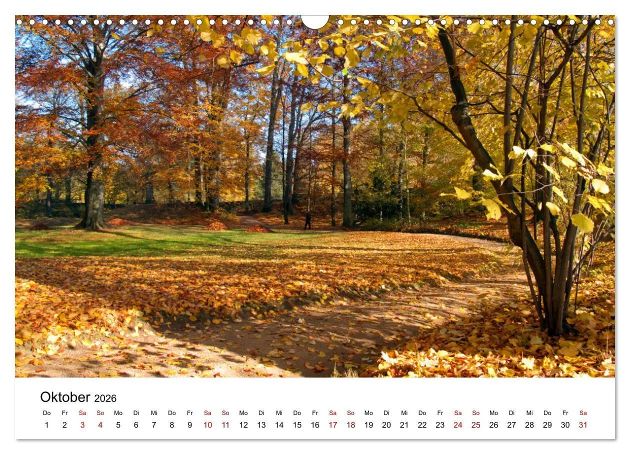 Bild: 9783457865316 | Waldheim (Wandkalender 2026 DIN A3 quer), CALVENDO Monatskalender | de
