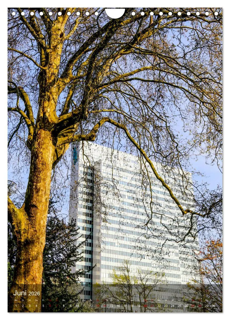 Bild: 9783516405316 | Ein Spaziergang durch Düsseldorf (Wandkalender 2026 DIN A4 hoch),...