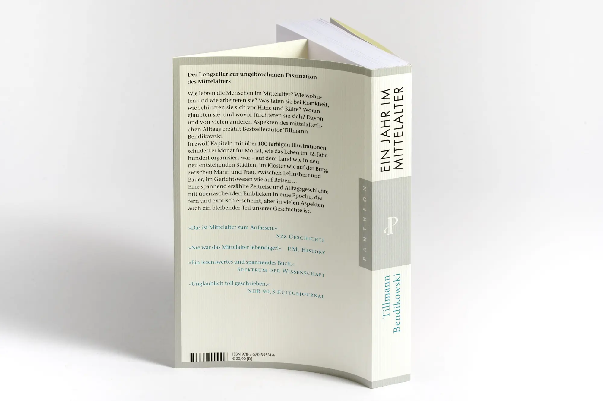 Bild: 9783570555316 | Ein Jahr im Mittelalter | Tillmann Bendikowski | Taschenbuch | 448 S.