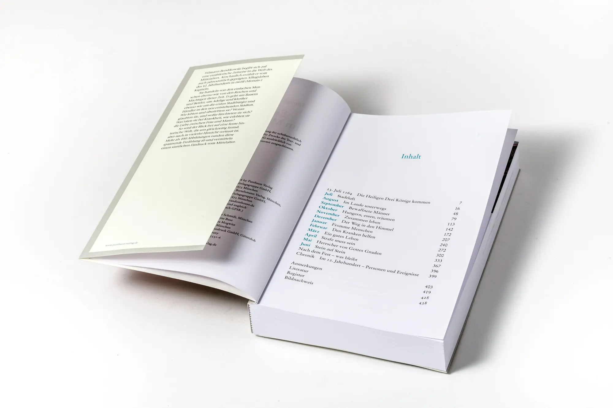 Bild: 9783570555316 | Ein Jahr im Mittelalter | Tillmann Bendikowski | Taschenbuch | 448 S.