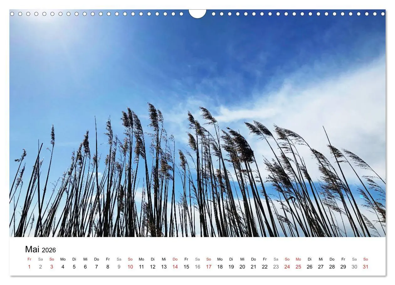 Bild: 9783457785416 | Borkum - Wo die Zeit still steht. (Wandkalender 2026 DIN A3 quer),...