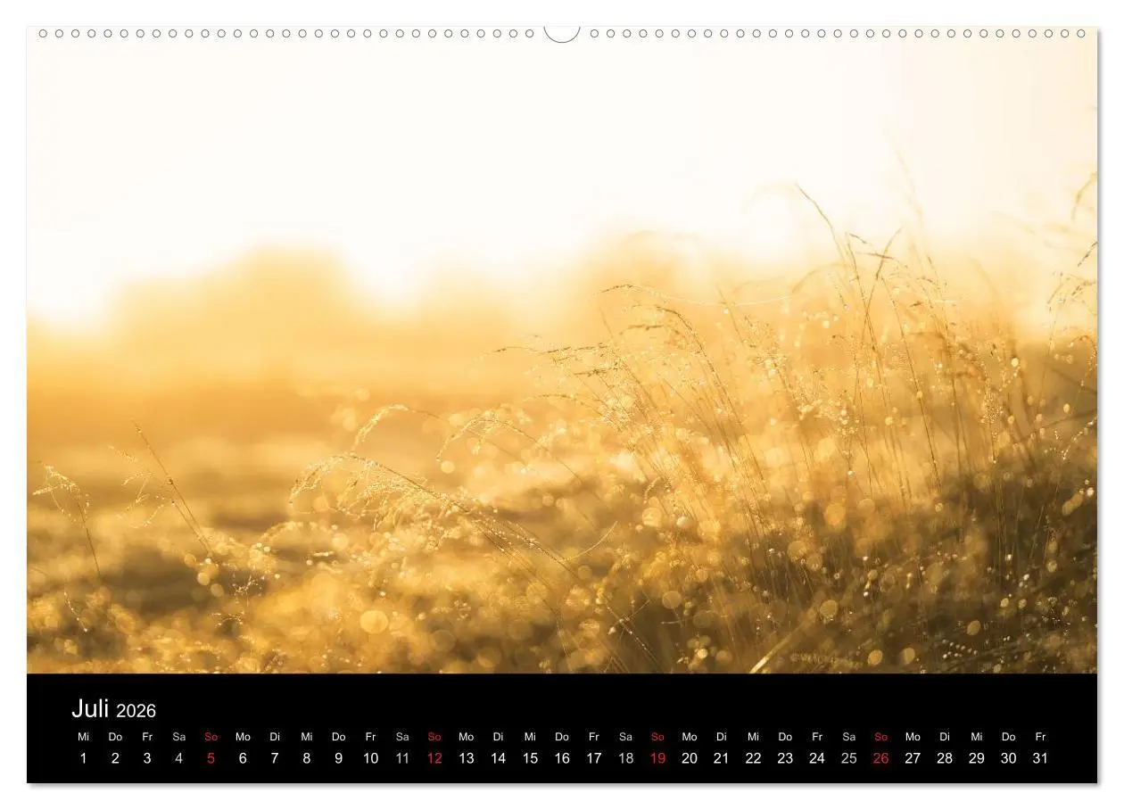 Bild: 9783516015416 | Fanø - Meine Insel (hochwertiger Premium Wandkalender 2026 DIN A2...