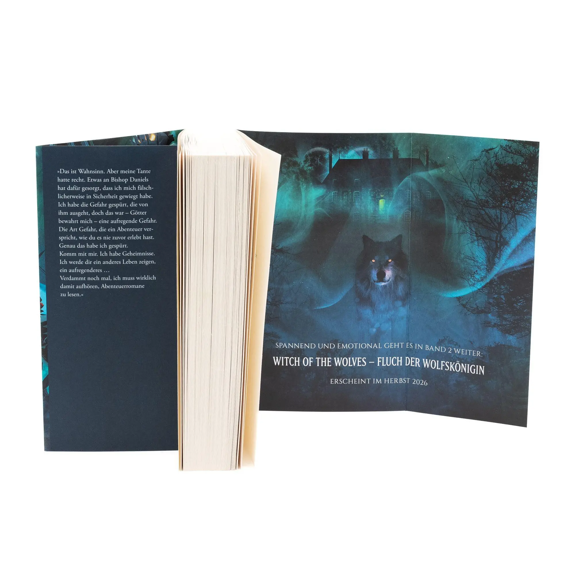 Bild: 9783745705416 | Witch of the Wolves | Kaylee Archer | Taschenbuch | 432 S. | Deutsch