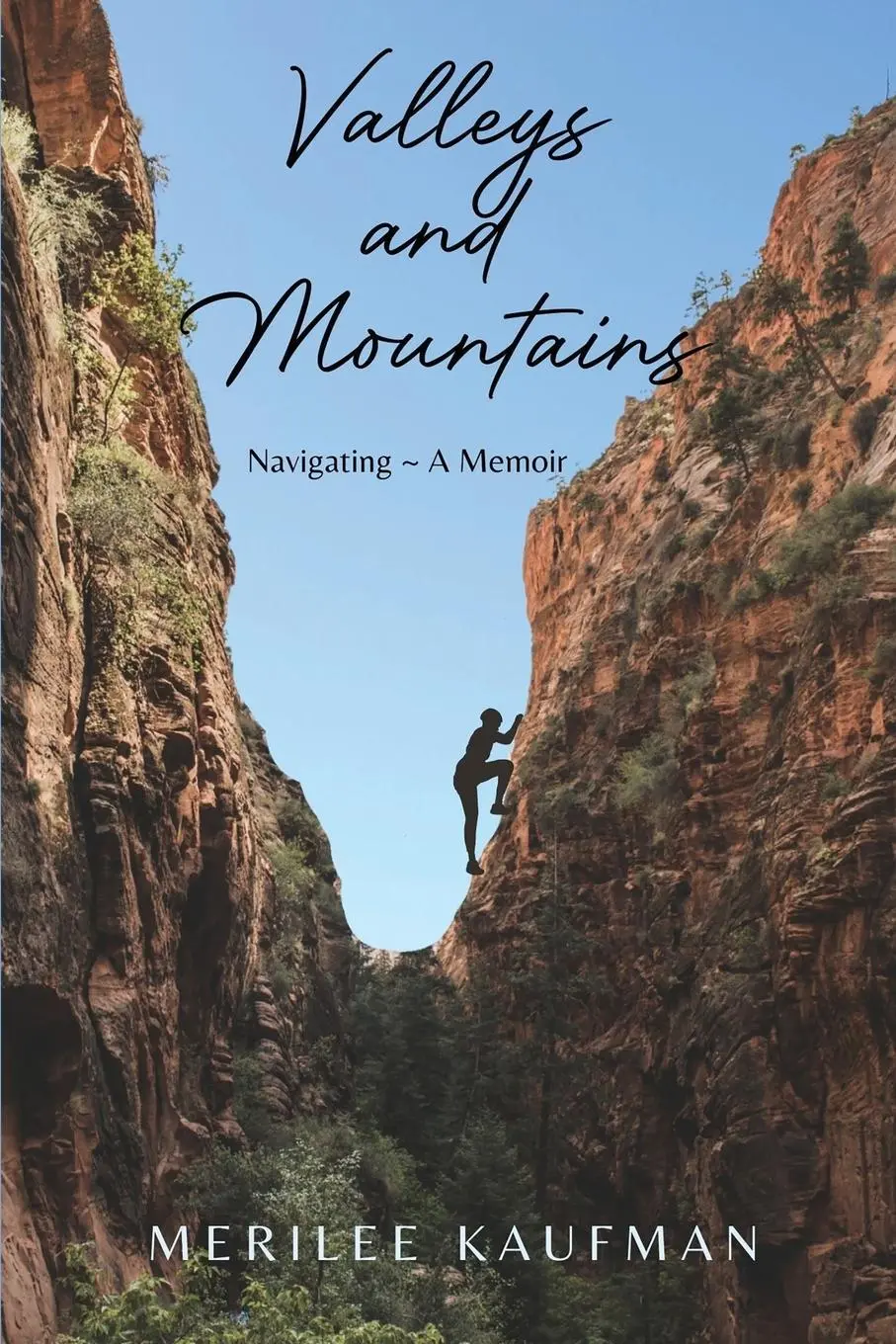 Cover: 9781637775516 | Valleys and Mountains | Navigating ~ A Memoir | Merilee Kaufman | Buch