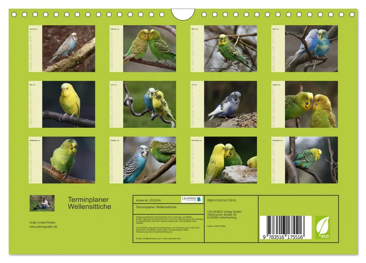 Bild: 9783516175516 | Terminplaner Wellensittiche (Wandkalender 2026 DIN A4 quer),...