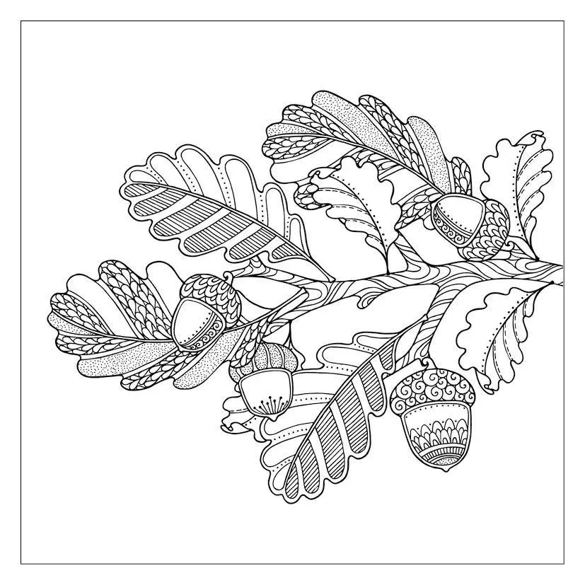 Bild: 9783745935516 | 333 Ausmalen - Herbst-Gefühle | Edition Michael Fischer | Taschenbuch