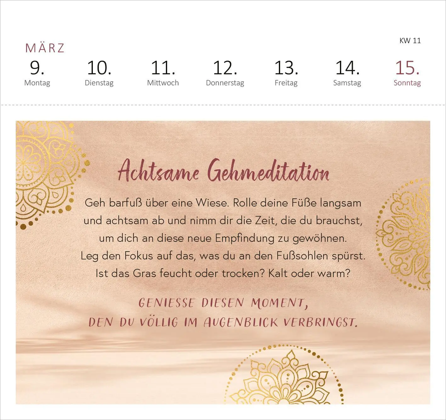 Bild: 4014489135616 | Postkartenkalender Yogaglück 2026 | Kalender | 108 S. | Deutsch | 2026
