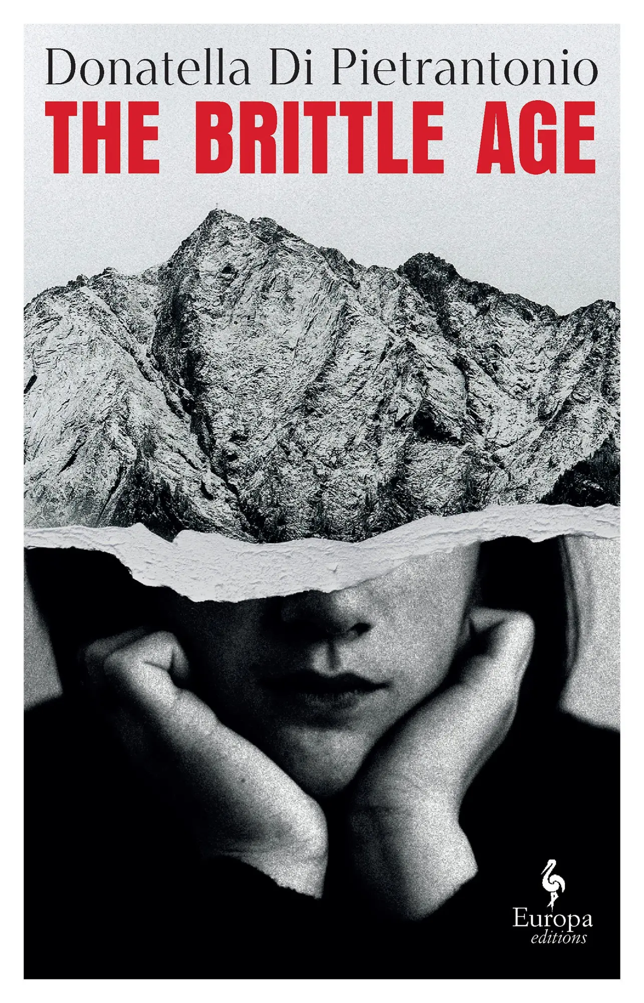 Cover: 9781787705616 | The Brittle Age | Donatella Di Pietrantonio | Taschenbuch | 192 S.