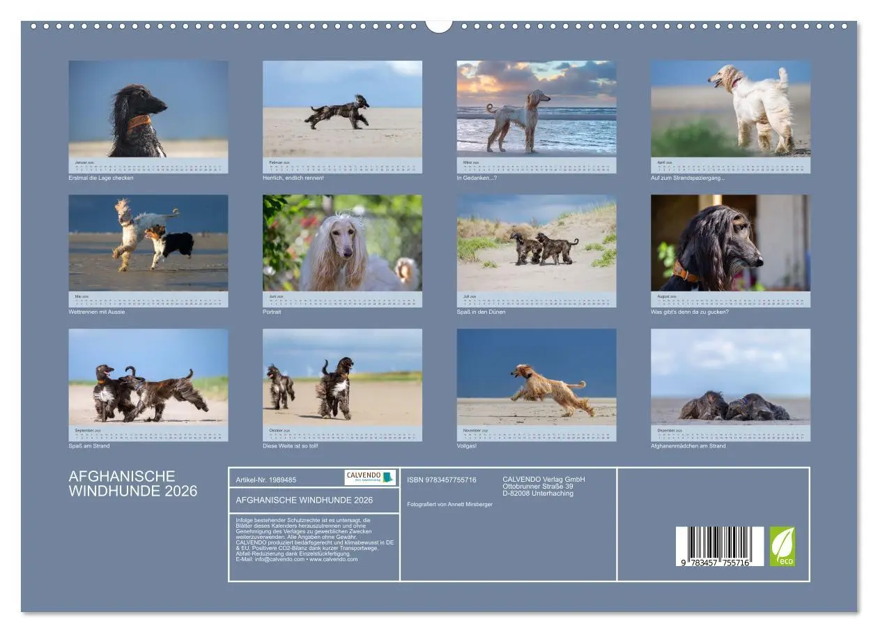 Bild: 9783457755716 | AFGHANISCHE WINDHUNDE 2026 (hochwertiger Premium Wandkalender 2026...