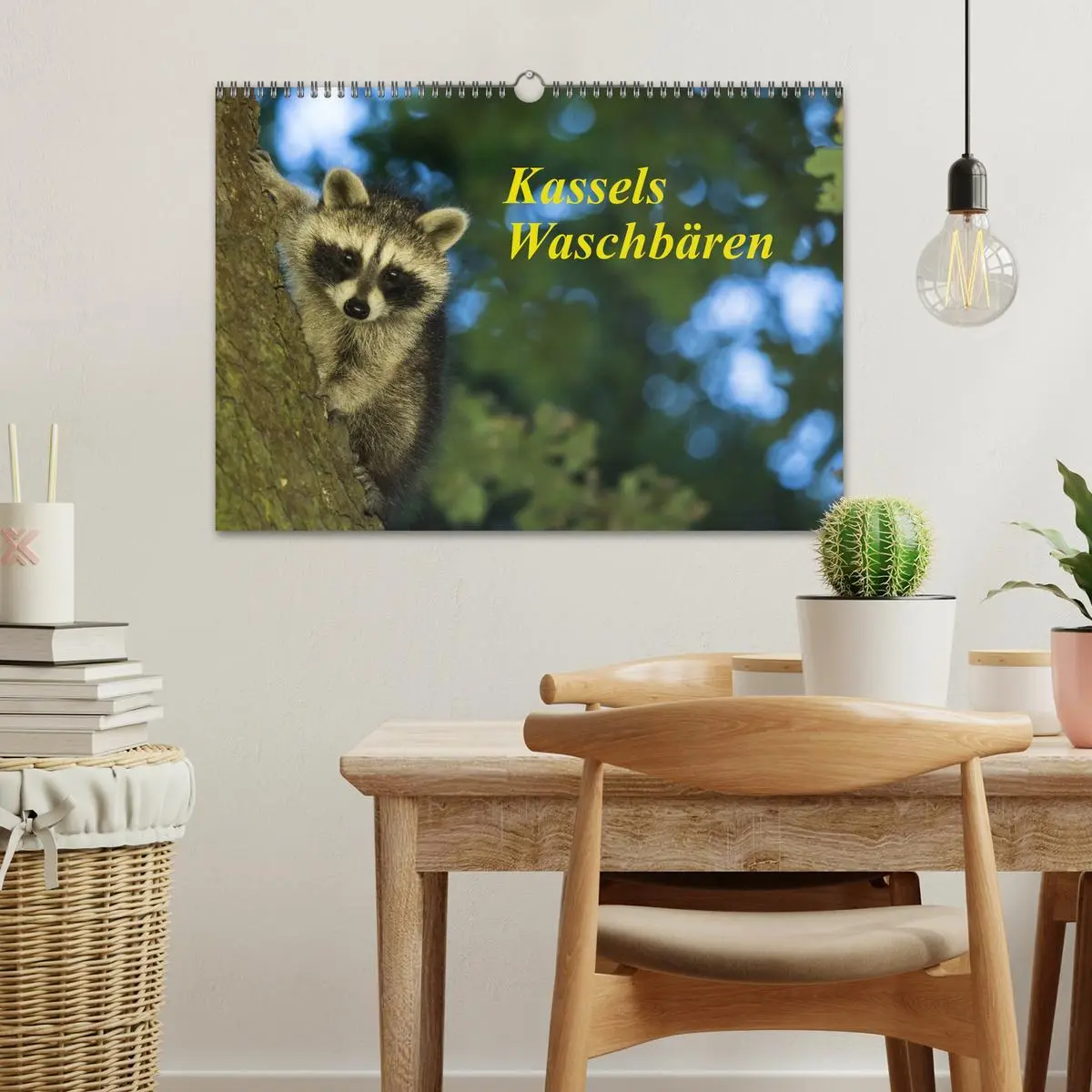 Bild: 9783457745816 | Kassels Waschbären (Wandkalender 2026 DIN A3 quer), CALVENDO...