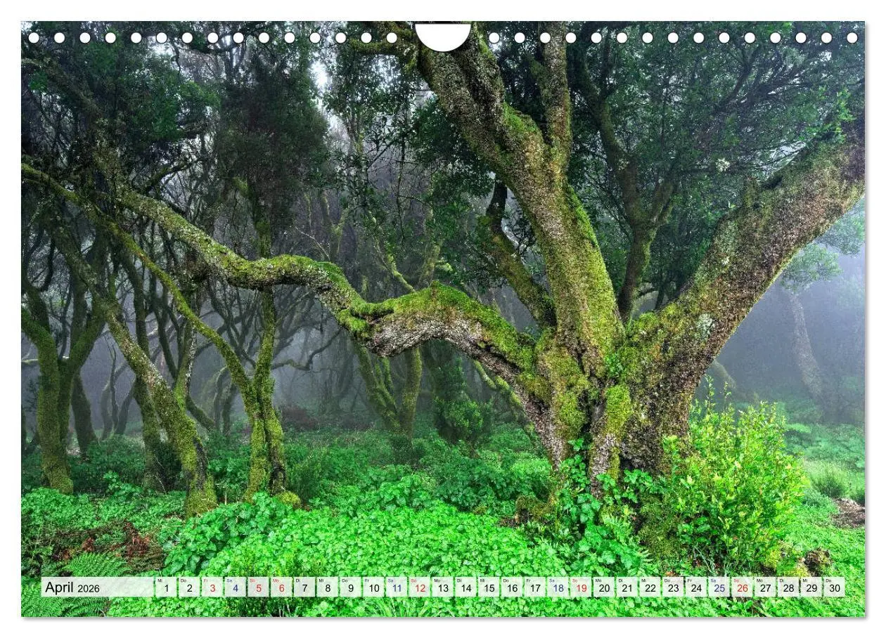 Bild: 9783457815816 | Kanarische Inseln - Vulkanische Naturschönheiten (Wandkalender 2026...