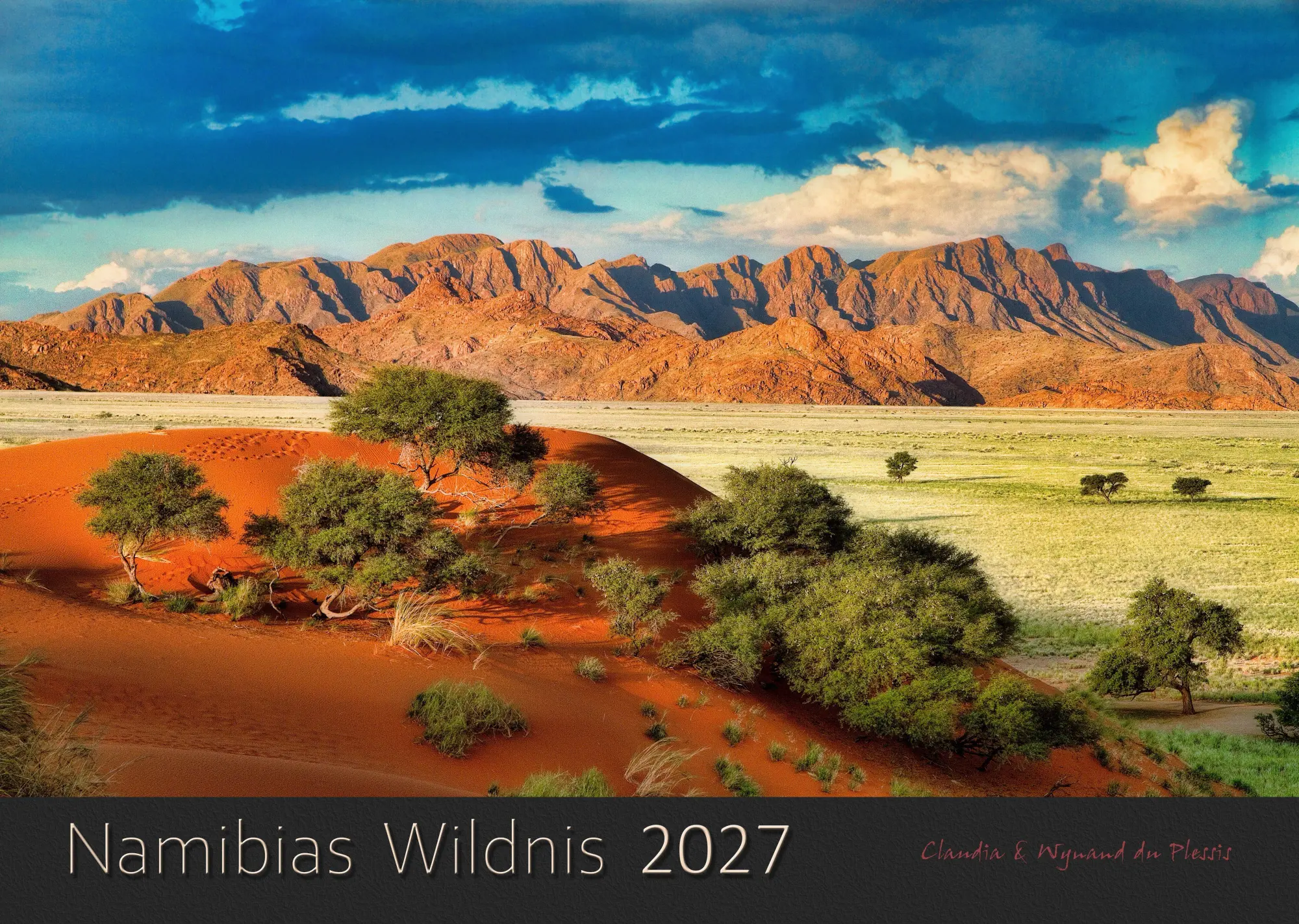 Cover: 9783947895816 | NAMIBIAS WILDNIS 2027 | Kalender | Deutsch | 2027 | WILD PHOTO SHOP
