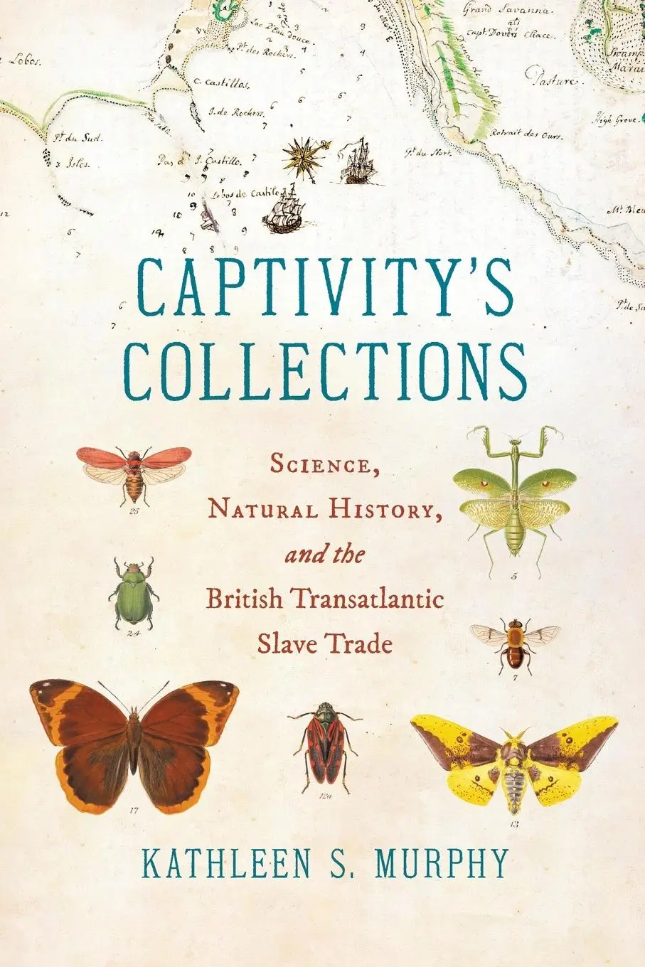 Cover: 9781469675916 | Captivity's Collections | Kathleen S. Murphy | Taschenbuch | Englisch