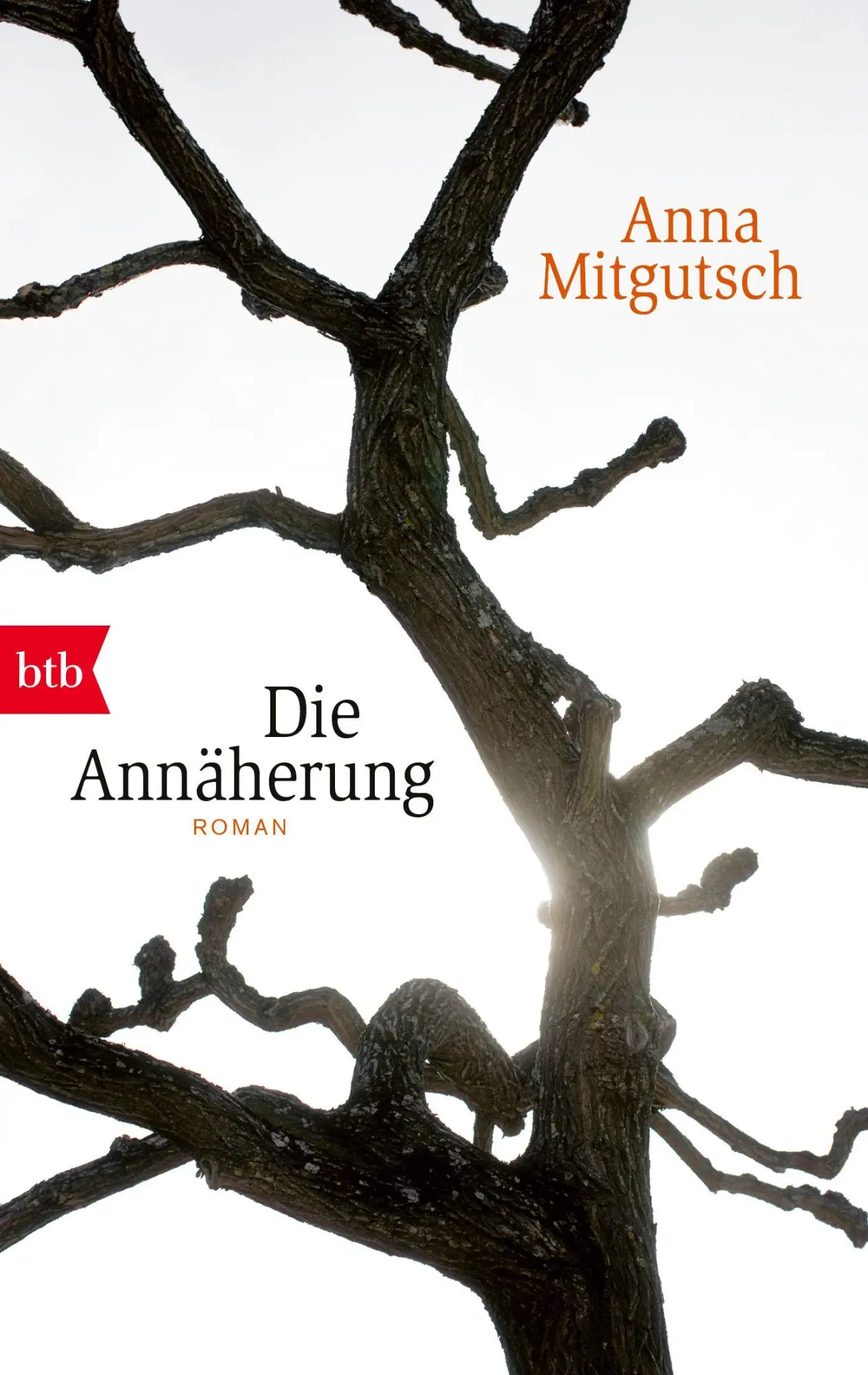 Cover: 9783442715916 | Die Annäherung | Anna Mitgutsch | Taschenbuch | 448 S. | Deutsch | btb