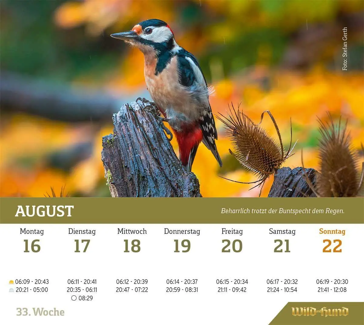 Bild: 9783897155916 | WILD UND HUND Edition: Jagdkalender Tischvariante 2027 | HUND | 55 S.